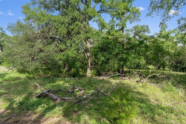 301 County Road 281, Leander, TX 78641 - photo 13