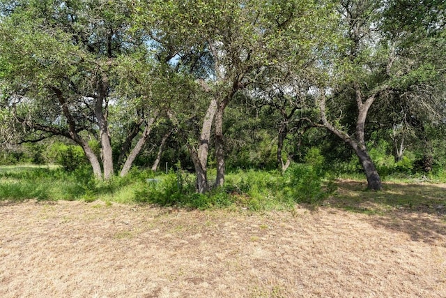 301 County Road 281, Leander, TX 78641 - photo 18