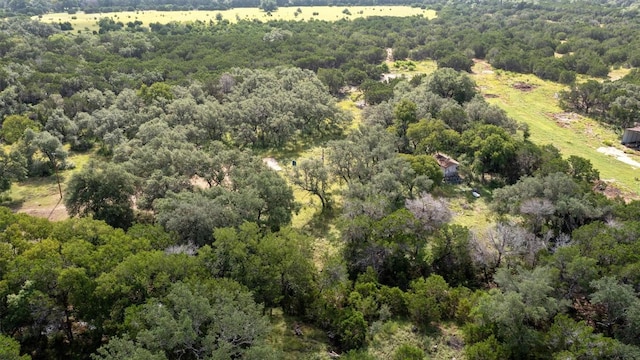 301 County Road 281, Leander, TX 78641 - photo 29