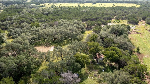 301 County Road 281, Leander, TX 78641 - photo 30
