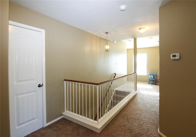 2705 Overton St, Round Rock, TX 78665 - photo 8