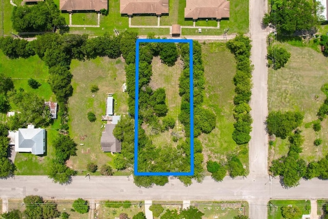821 Blanco, Lockhart, TX 78644 - photo 5