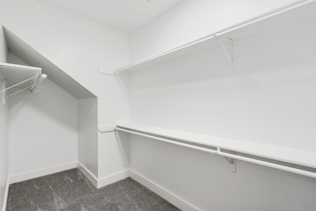 11930 Loomis Dr, Austin, TX 78738 - photo 22
