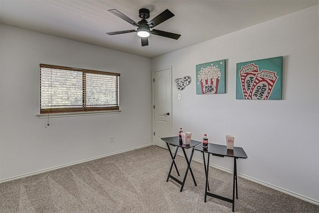 312 Wind Hollow Dr, Georgetown, TX 78633 - photo 22