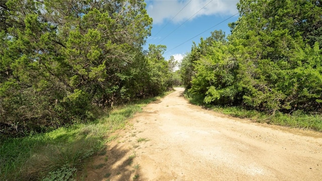 1100 Alpine Trl, San Marcos, TX 78666 - photo 1