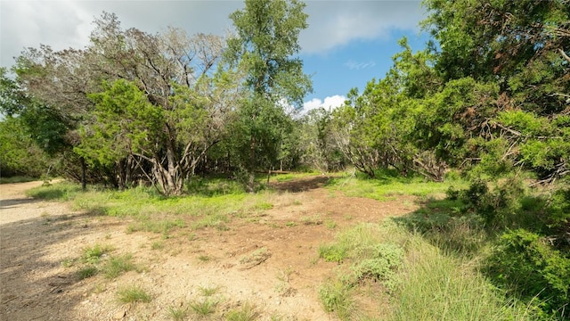 1100 Alpine Trl, San Marcos, TX 78666 - photo 2