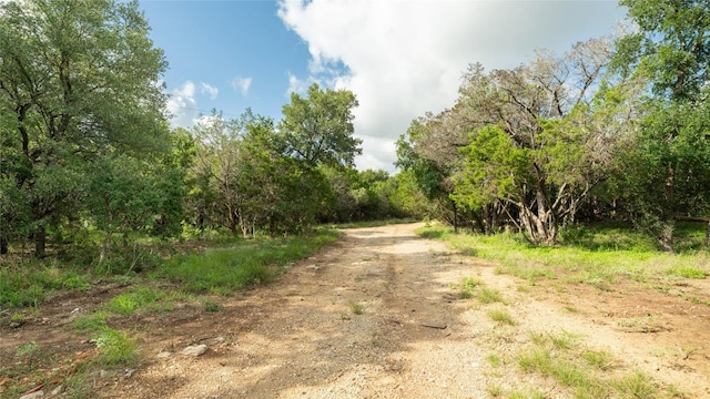 1100 Alpine Trl, San Marcos, TX 78666 - photo 3