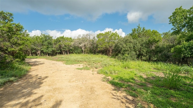 1100 Alpine Trl, San Marcos, TX 78666 - photo 4