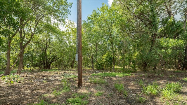 1100 Alpine Trl, San Marcos, TX 78666 - photo 6
