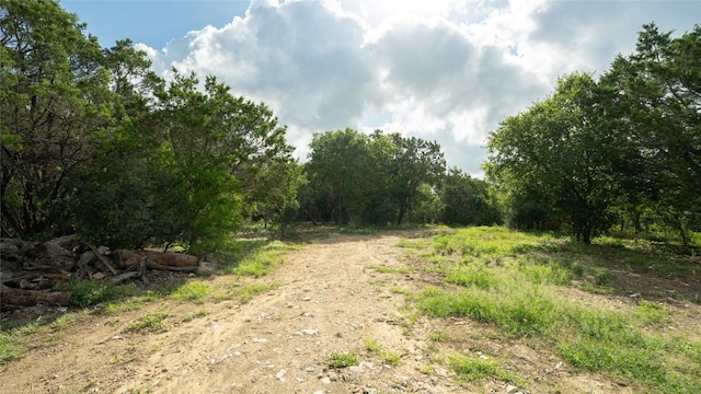 1100 Alpine Trl, San Marcos, TX 78666 - photo 7