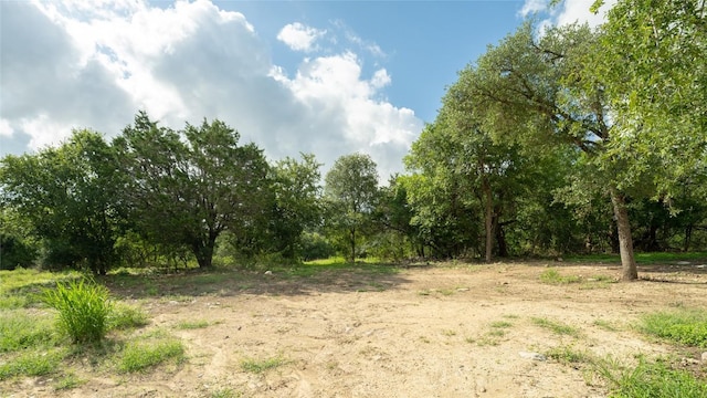 1100 Alpine Trl, San Marcos, TX 78666 - photo 8
