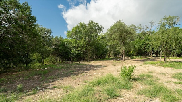 1100 Alpine Trl, San Marcos, TX 78666 - photo 9
