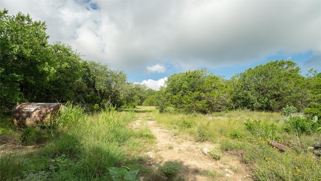 1100 Alpine Trl, San Marcos, TX 78666 - photo 10