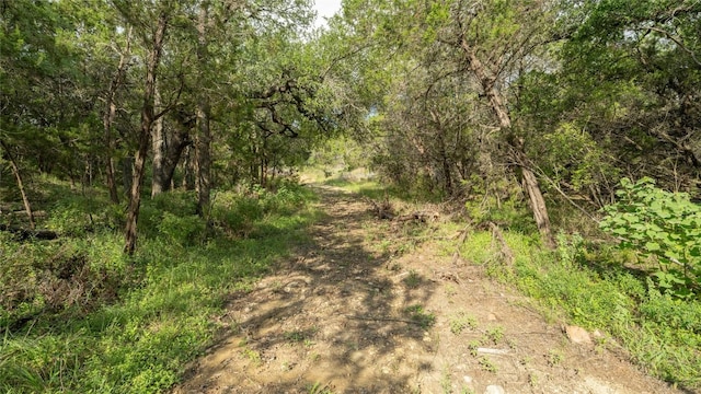1100 Alpine Trl, San Marcos, TX 78666 - photo 11