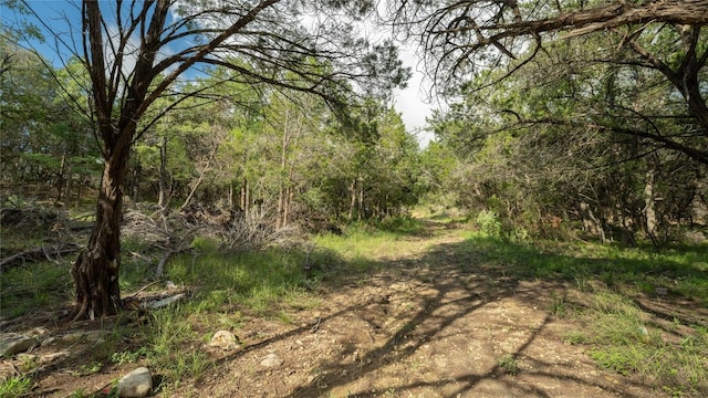 1100 Alpine Trl, San Marcos, TX 78666 - photo 12