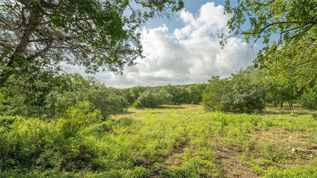 1100 Alpine Trl, San Marcos, TX 78666 - photo 21