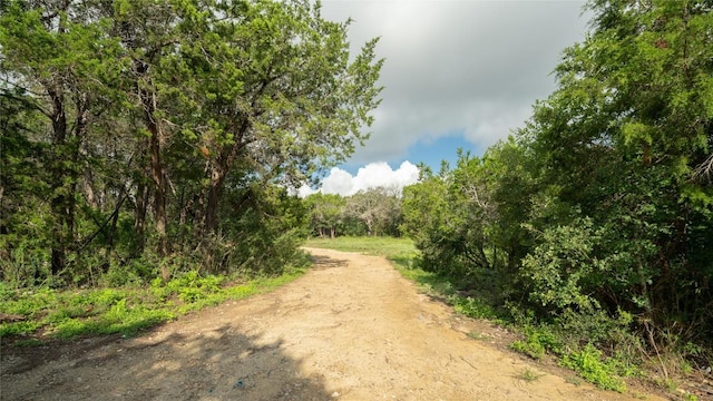 1100 Alpine Trl, San Marcos, TX 78666 - photo 22