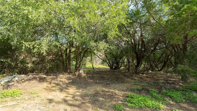 1100 Alpine Trl, San Marcos, TX 78666 - photo 23