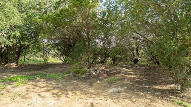 1100 Alpine Trl, San Marcos, TX 78666 - photo 24