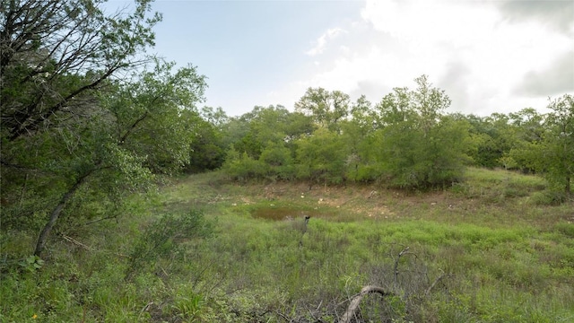 1100 Alpine Trl, San Marcos, TX 78666 - photo 14