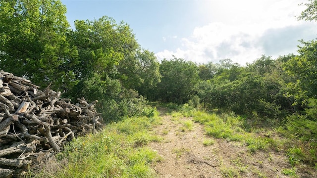 1100 Alpine Trl, San Marcos, TX 78666 - photo 15