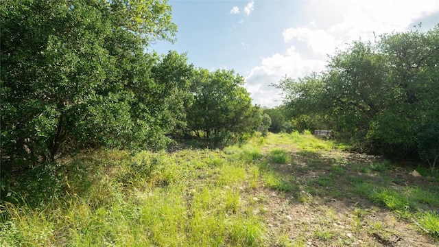 1100 Alpine Trl, San Marcos, TX 78666 - photo 16