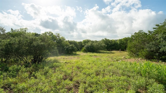 1100 Alpine Trl, San Marcos, TX 78666 - photo 20