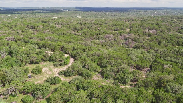 1100 Alpine Trl, San Marcos, TX 78666 - photo 28