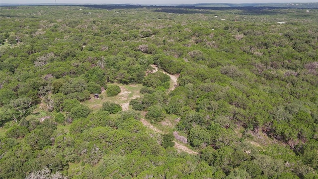 1100 Alpine Trl, San Marcos, TX 78666 - photo 29