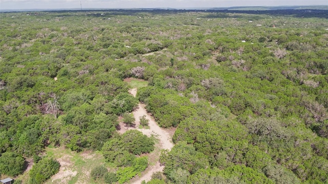 1100 Alpine Trl, San Marcos, TX 78666 - photo 30