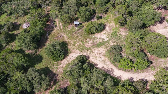 1100 Alpine Trl, San Marcos, TX 78666 - photo 32