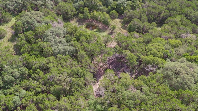 1100 Alpine Trl, San Marcos, TX 78666 - photo 33