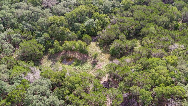 1100 Alpine Trl, San Marcos, TX 78666 - photo 34