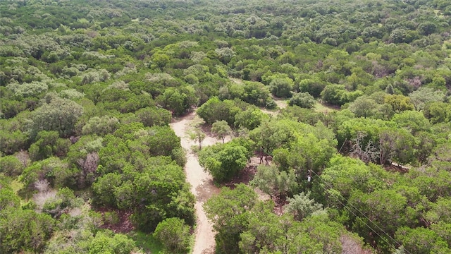 1100 Alpine Trl, San Marcos, TX 78666 - photo 35