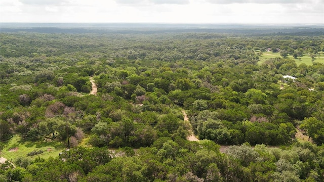 1100 Alpine Trl, San Marcos, TX 78666 - photo 37