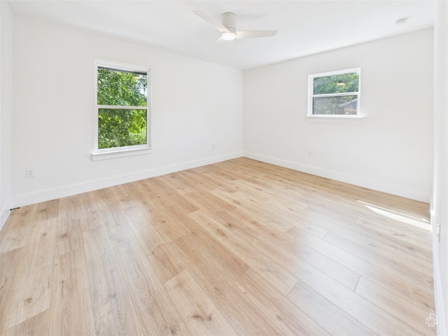 7019 Creighton Ln, Austin, TX 78723 - photo 26