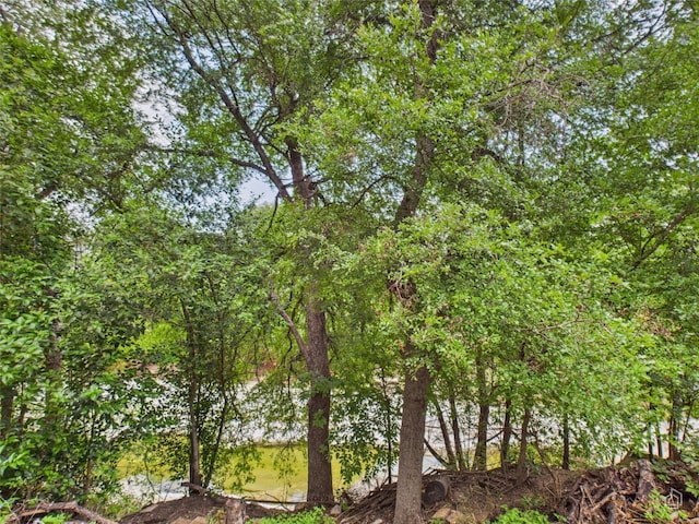 7019 Creighton Ln, Austin, TX 78723 - photo 40