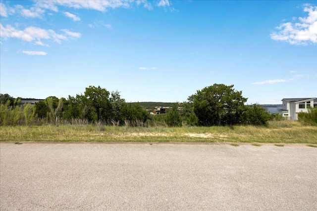 18108 Cedar Sage Ct, Lago Vista, TX 78645 - photo 3