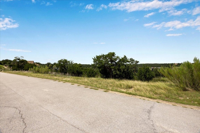 18108 Cedar Sage Ct, Lago Vista, TX 78645 - photo 4