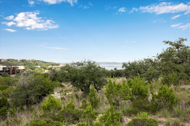 18108 Cedar Sage Ct, Lago Vista, TX 78645 - photo 6