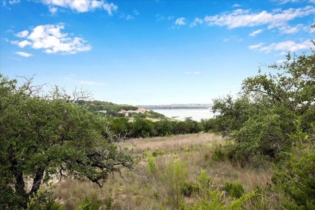 18108 Cedar Sage Ct, Lago Vista, TX 78645 - photo 7
