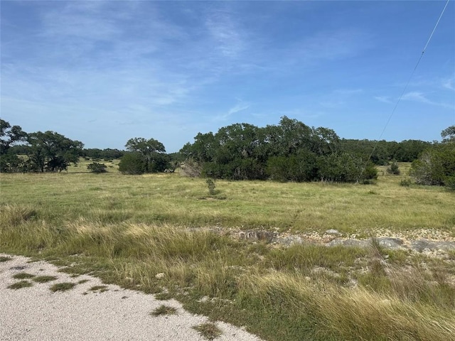 110 W Alex Jordan St, Blanco, TX 78606 - photo 8