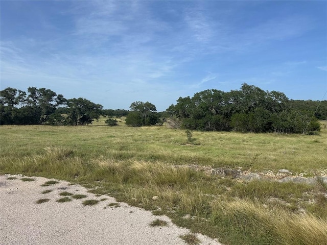 110 W Alex Jordan St, Blanco, TX 78606 - photo 9