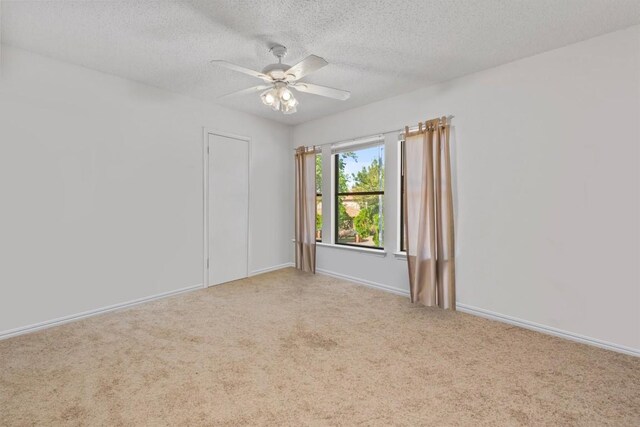 8007 Bramble Bush Dr, Austin, TX 78747 - photo 30