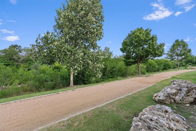 1701 Logan Dr Unit 38, Round Rock, TX 78664 - photo 28