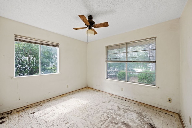 1804 Kendra Cv, Austin, TX 78757 - photo 15