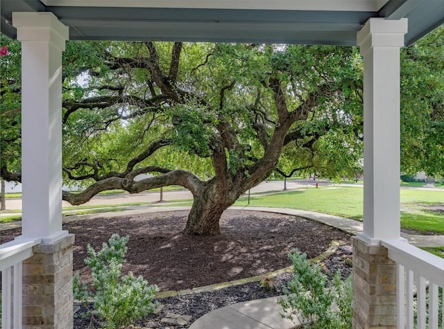 1706 Sandhills Dr, Cedar Park, TX 78613 - photo 5