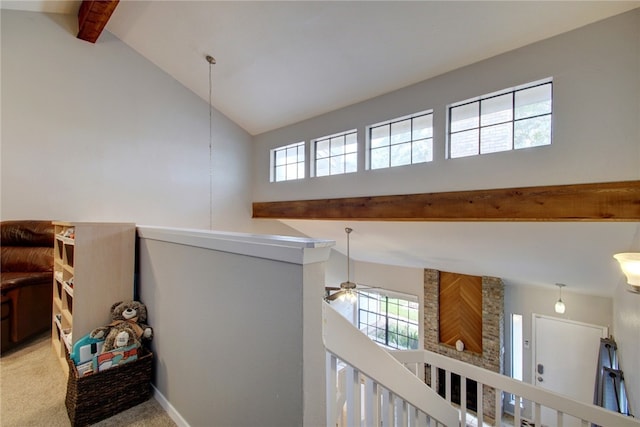 1748 Ohlen Rd Unit 76, Austin, TX 78757 - photo 18