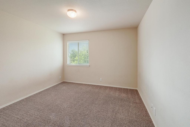 1818 Golden Arrow Ave, Cedar Park, TX 78613 - photo 25