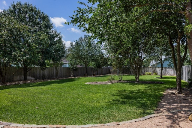 929 N Horton St, La Grange, TX 78945 - photo 9